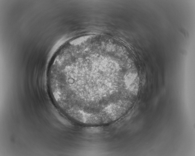 X0000112770102200910011245