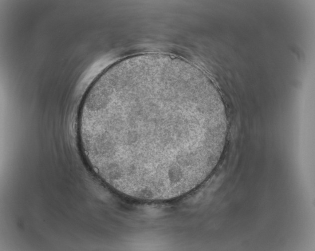 X0000112770103200910011245