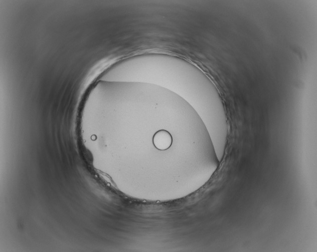 X0000112770104200910011245