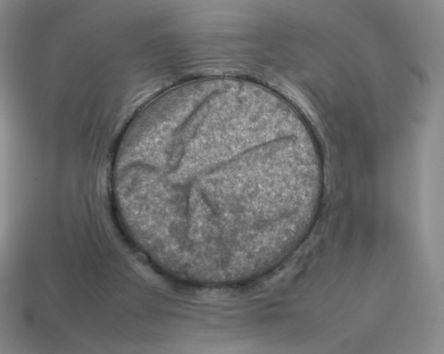 X0000112770105200910011245