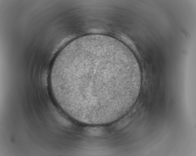 X0000112770106200910011245