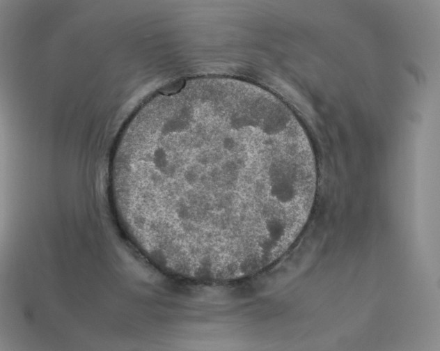 X0000112770107200910011245