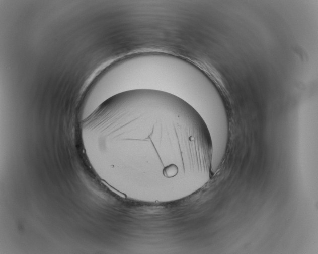 X0000112770108200910011245