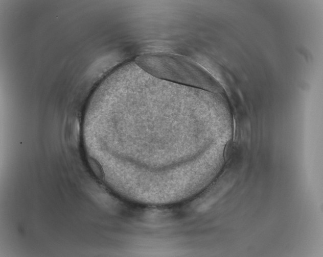 X0000112770109200910011245