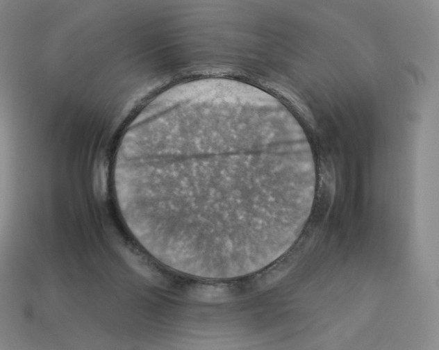 X0000112770110200910011245