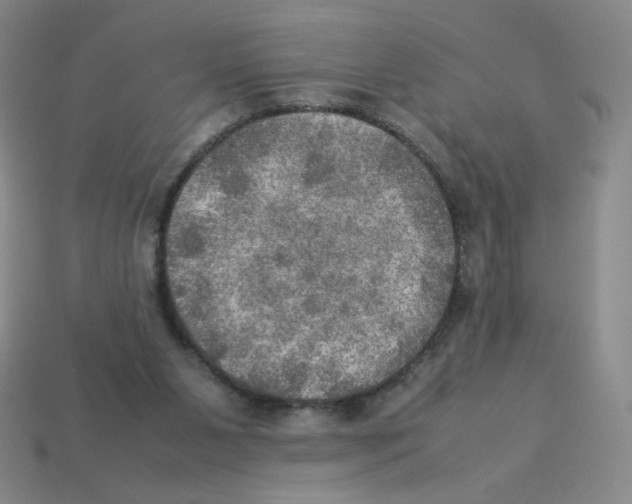 X0000112770111200910011245