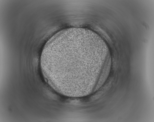 X0000112770113200910011245