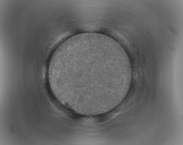 X0000112770115200910011245