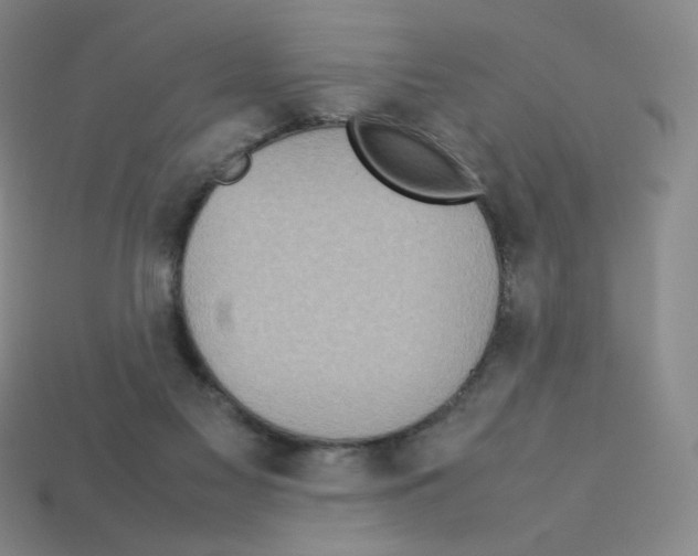 X0000112770117200910011245