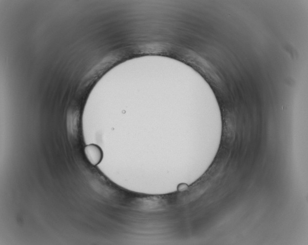 X0000112770118200910011245