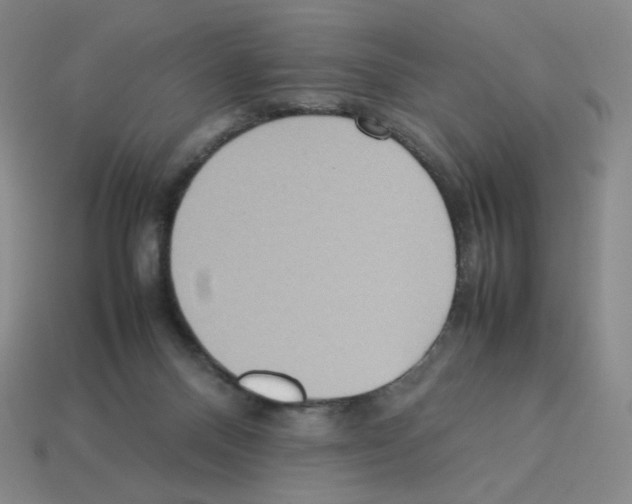 X0000112770120200910011245