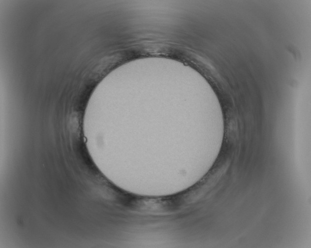 X0000112770121200910011245