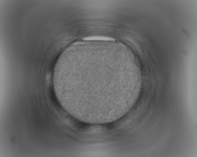 X0000112770123200910011245