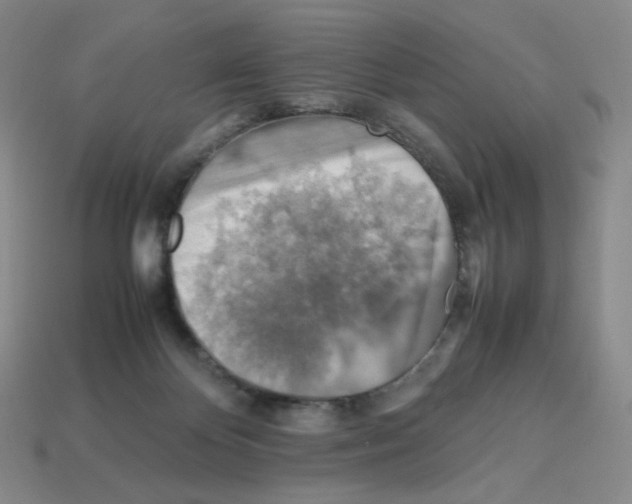 X0000112770124200910011245