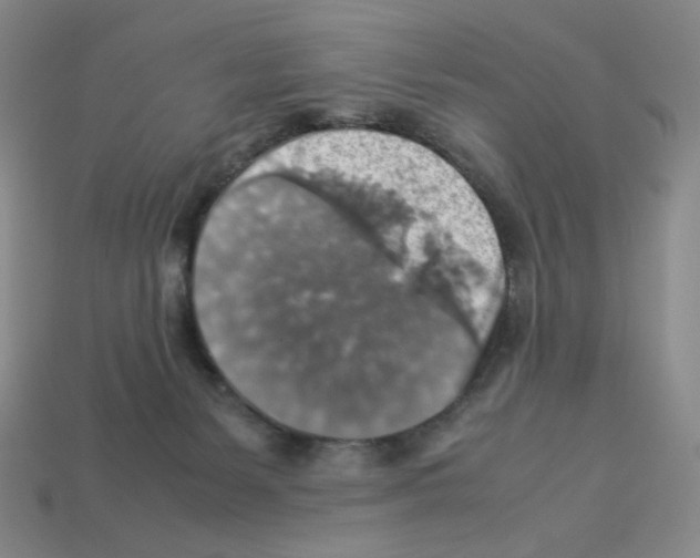 X0000112770127200910011244