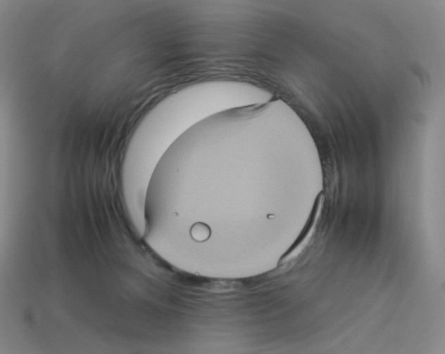 X0000112770128200910011244