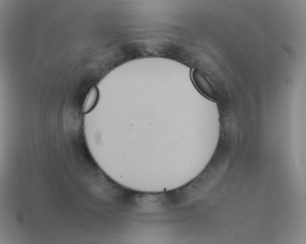 X0000112770129200910011244