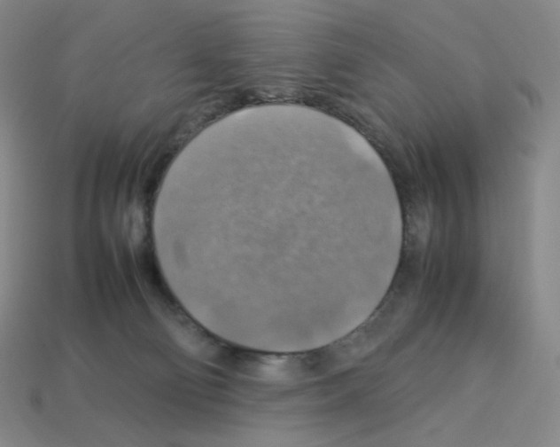 X0000112770130200910011244