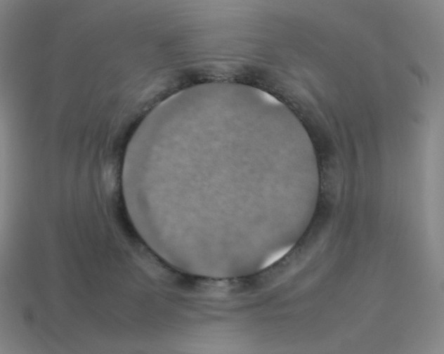 X0000112770131200910011244