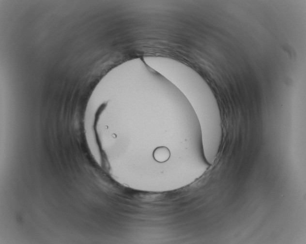 X0000112770132200910011244