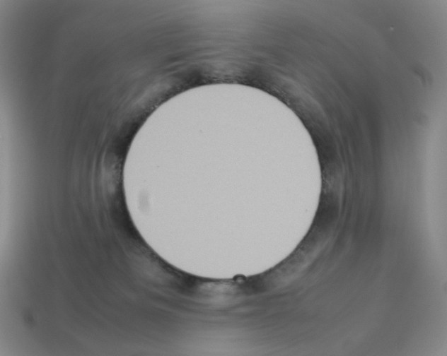 X0000112770133200910011244