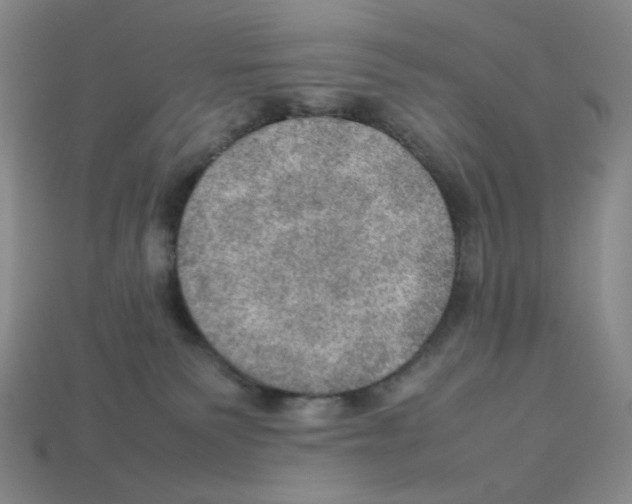 X0000112770135200910011244