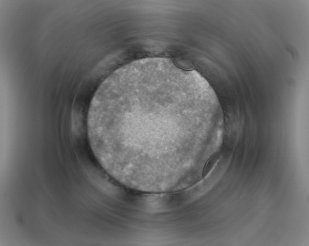 X0000112770136200910011244