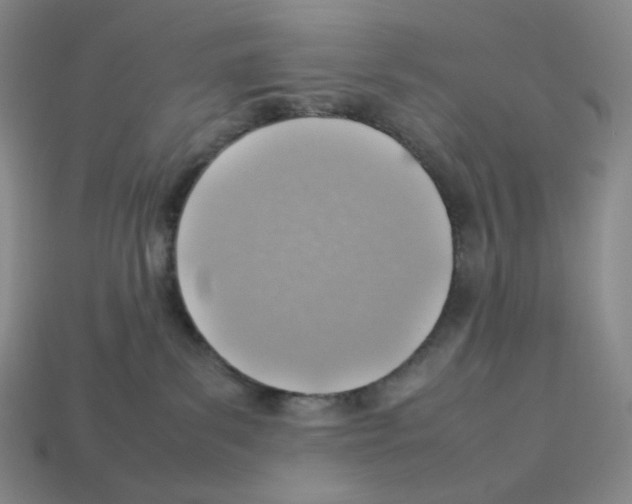 X0000112770139200910011244