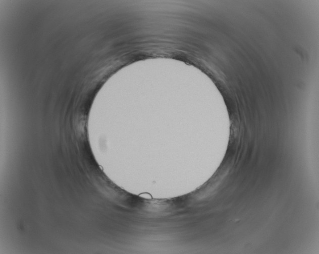 X0000112770141200910011244