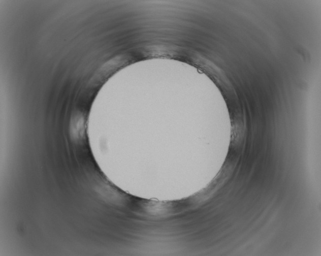 X0000112770142200910011244