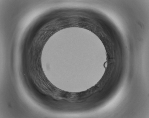 X0000112770143200910011244