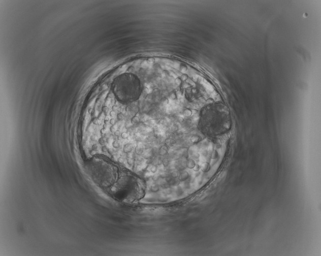 X0000112770145200910011243