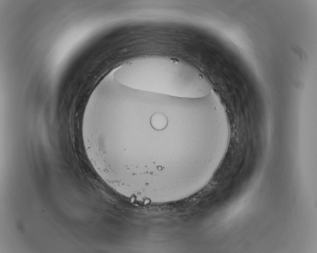 X0000112770146200910011244