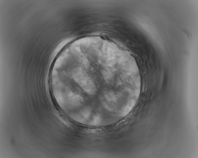 X0000112770147200910011244