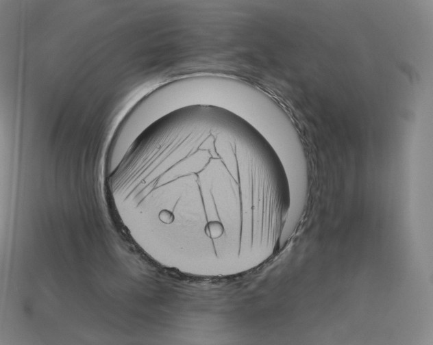 X0000112770148200910011244