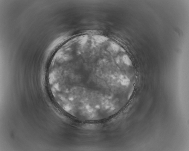 X0000112770149200910011244