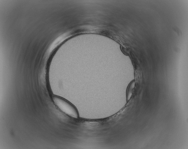 X0000112770150200910011244