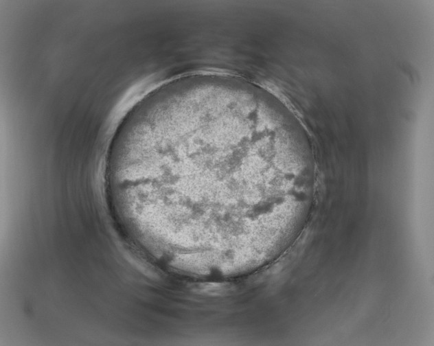 X0000112770151200910011244