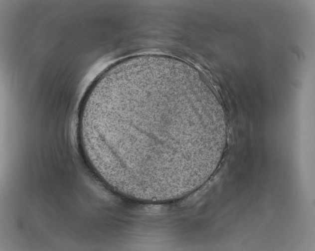 X0000112770152200910011244