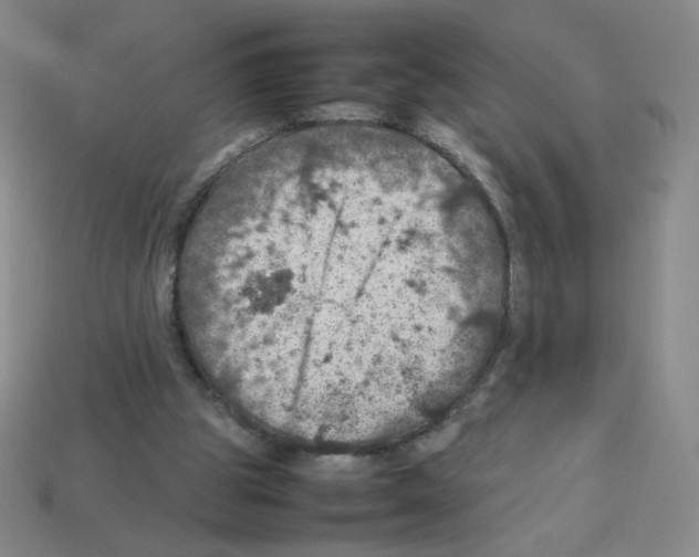 X0000112770153200910011244