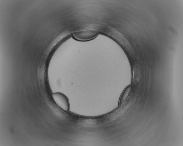 X0000112770156200910011244