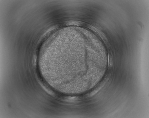 X0000112770157200910011244