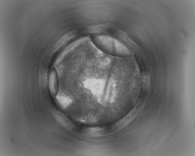 X0000112770158200910011244