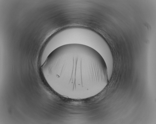 X0000112770160200910011244