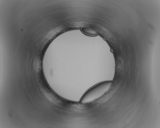 X0000112770164200910011244