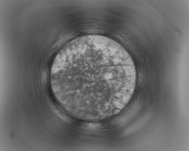 X0000112770165200910011244