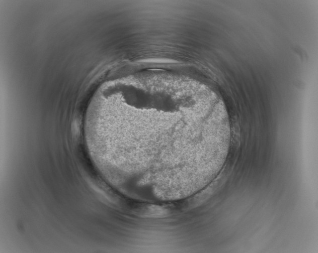 X0000112770166200910011244