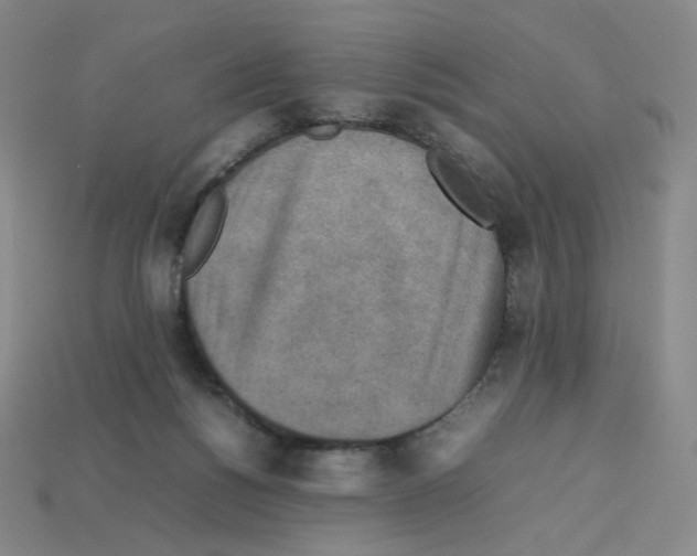 X0000112770168200910011244