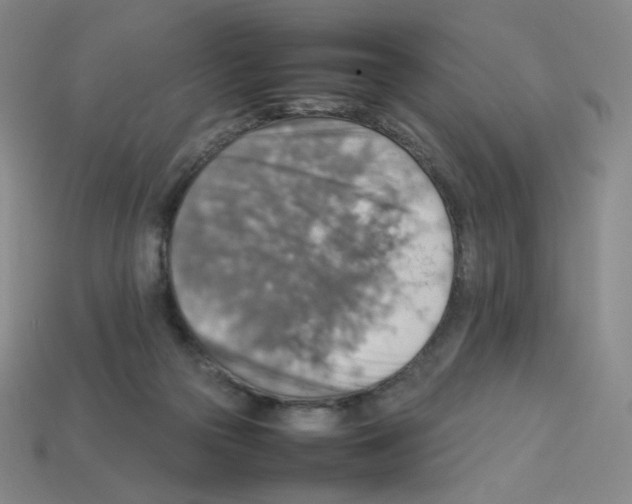 X0000112770169200910011244