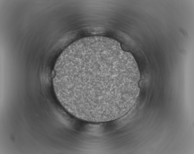 X0000112770170200910011244